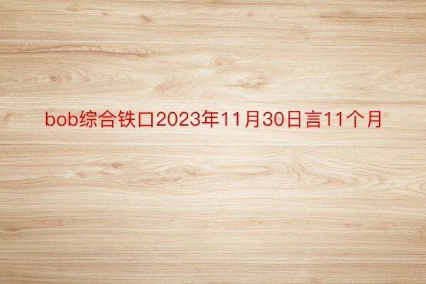 bob综合铁口2023年11月30日言11个月
