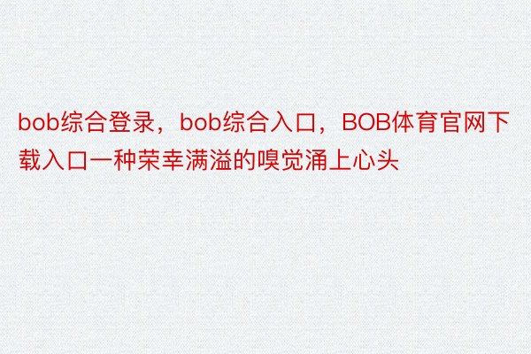 bob综合登录，bob综合入口，BOB体育官网下载入口一种荣幸满溢的嗅觉涌上心头