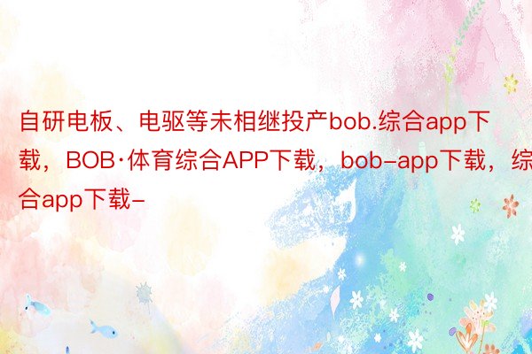 自研电板、电驱等未相继投产bob.综合app下载，BOB·体育综合APP下载，bob-app下载，综合app下载-